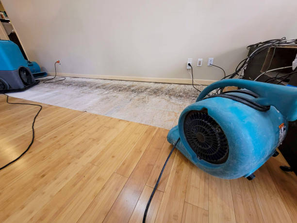 Professional Flood Damage Cleanup technician working in Wrightstown, NJ
