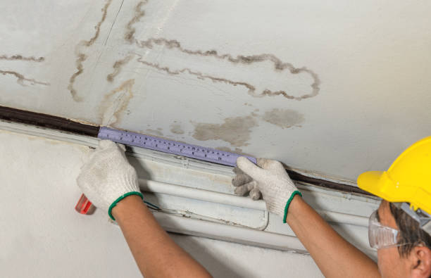 Affordable Flood Damage Cleanup solutions in Wrightstown, NJ